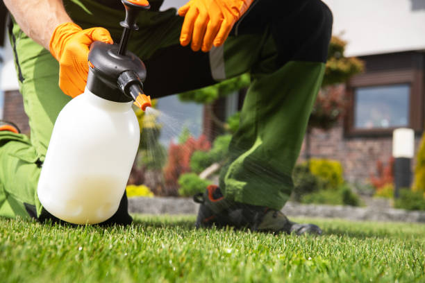 Best Best Pest Control Companies  in Sonora, TX