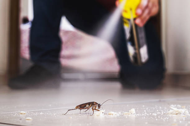 Reliable Sonora, TX Pest Control Solutions